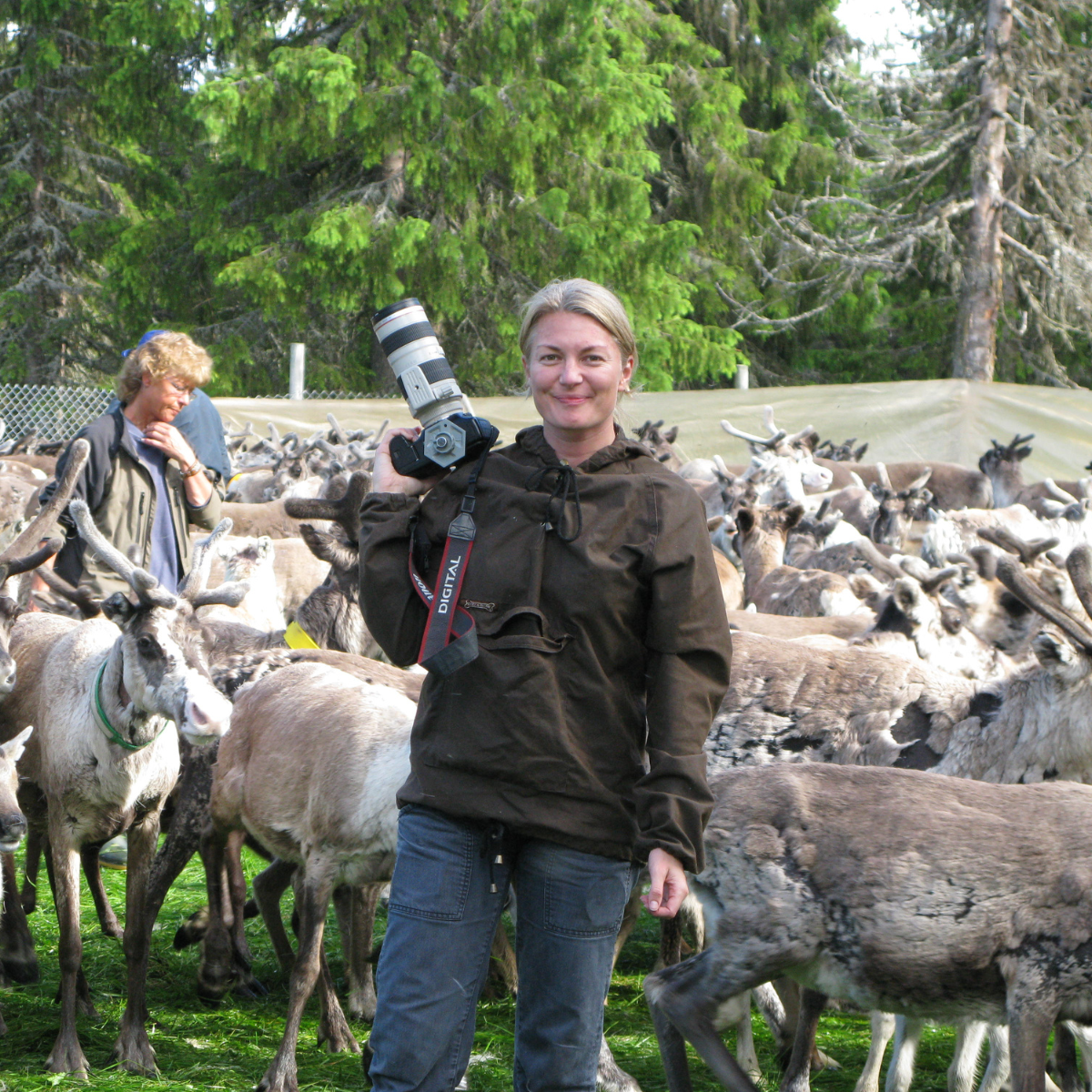Ami Elsius Photographing Rainders in Lappland Sweden
