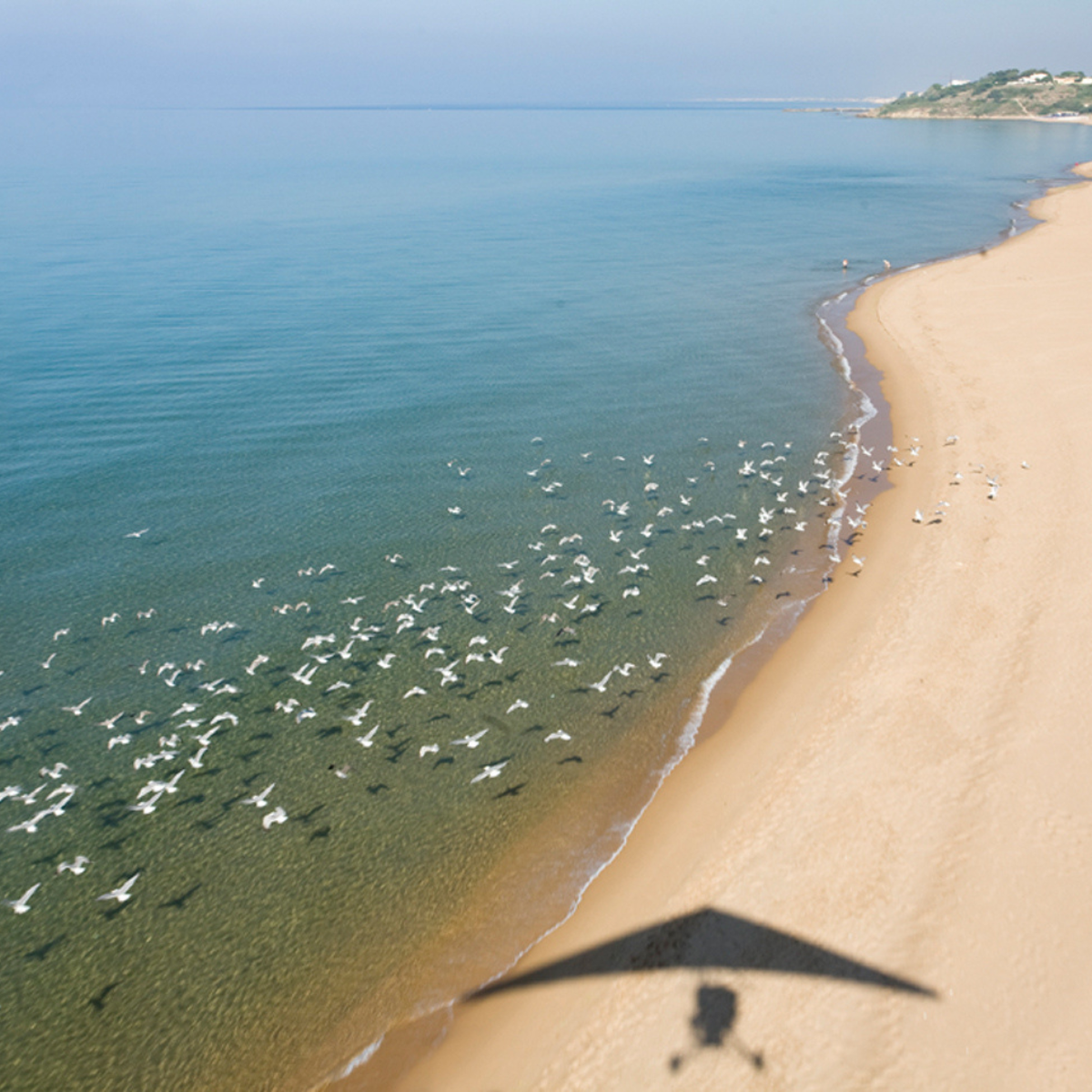 Ami Elsius Hang Gliding in Mazara del Vallo