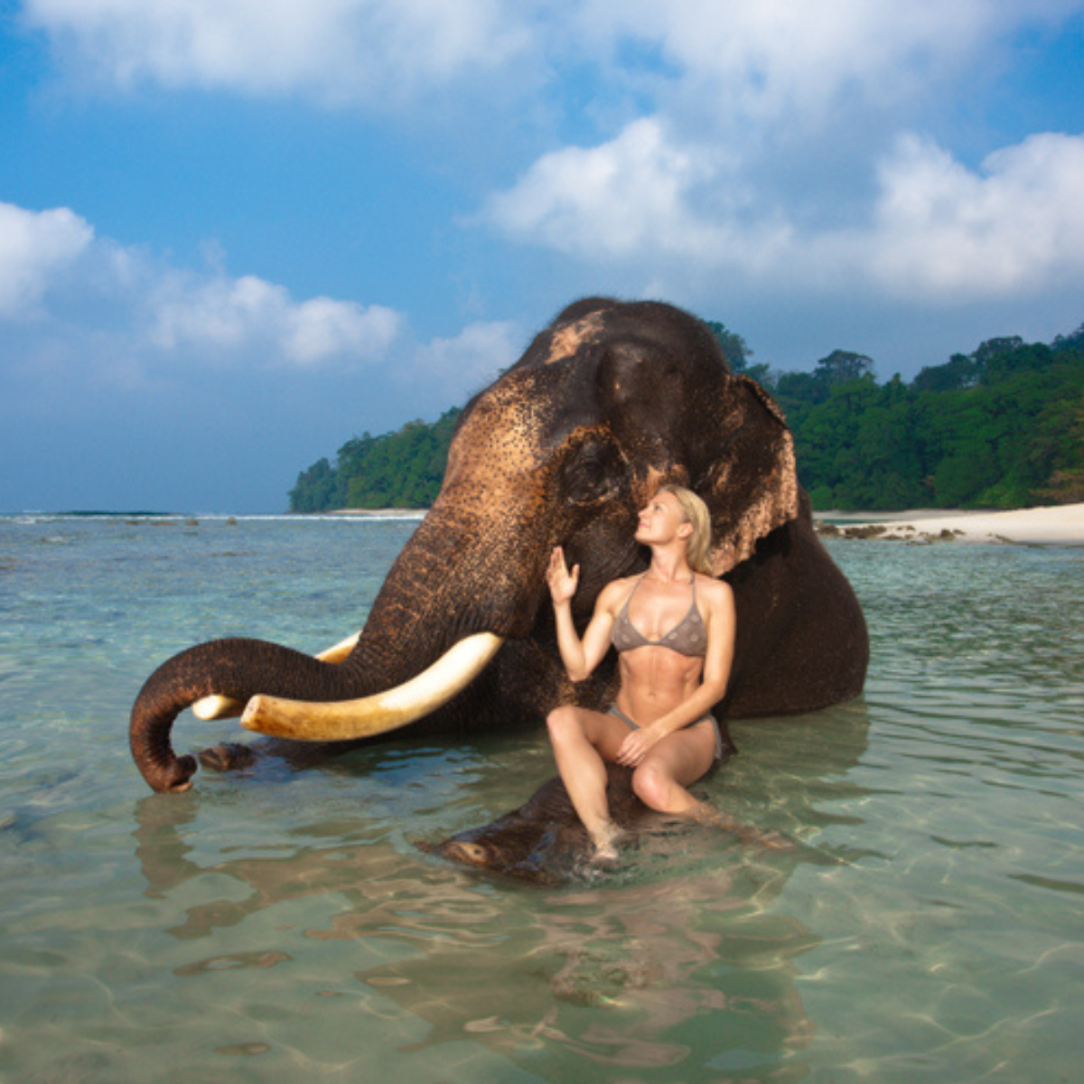 Ami Elsius with elephant in the Andaman Islands